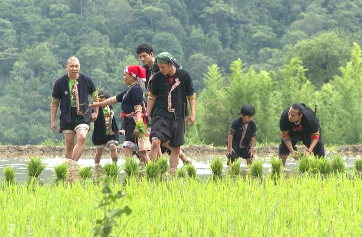 Sao Bo oi Minh di dau the loi bun hoc cay lua-Hinh-4